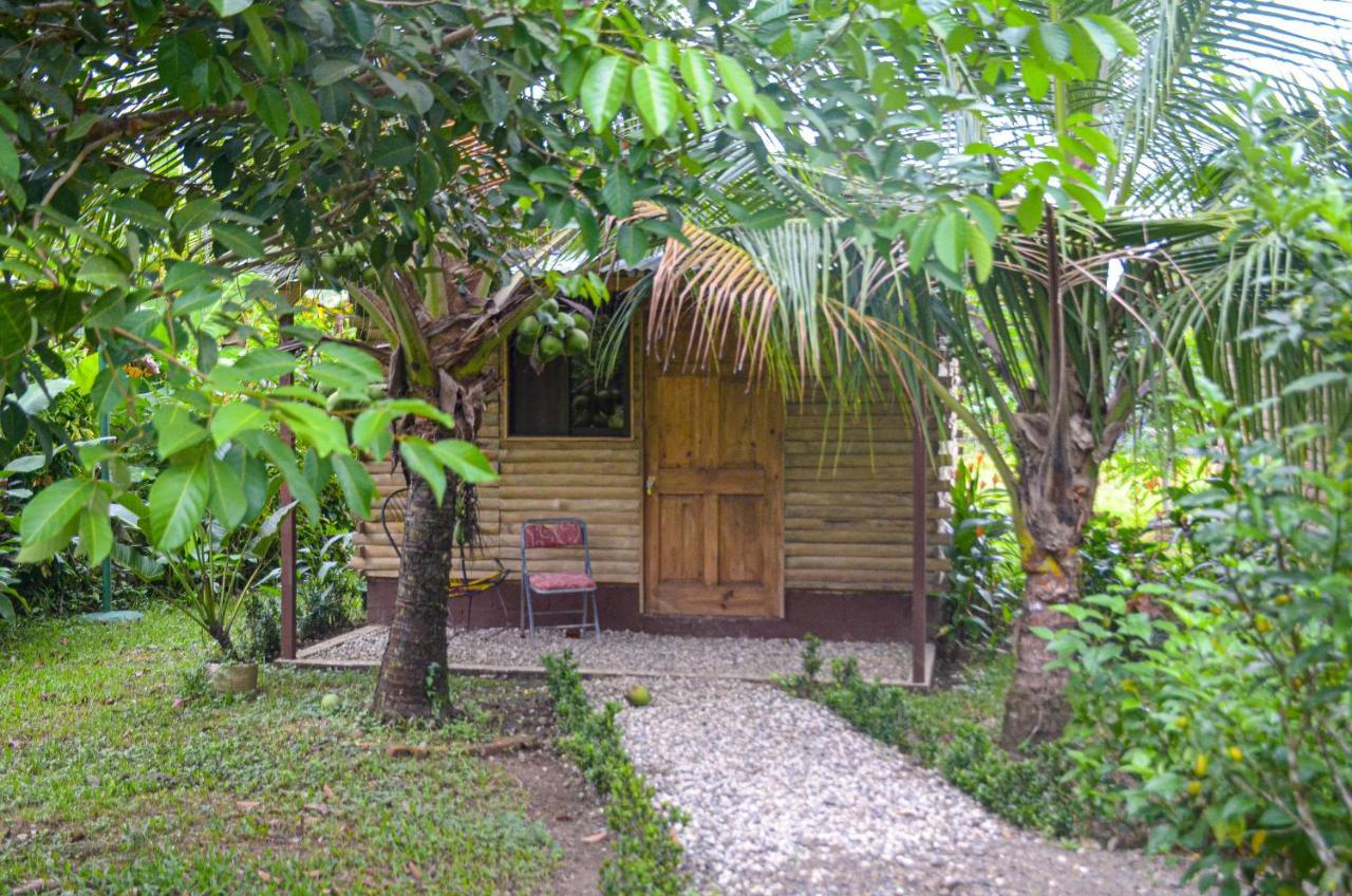 Hospedaje Y Alojamiento Cabanas Don Beto La Palma Экстерьер фото