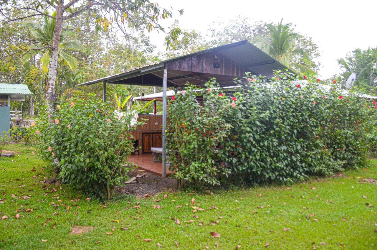 Hospedaje Y Alojamiento Cabanas Don Beto La Palma Экстерьер фото
